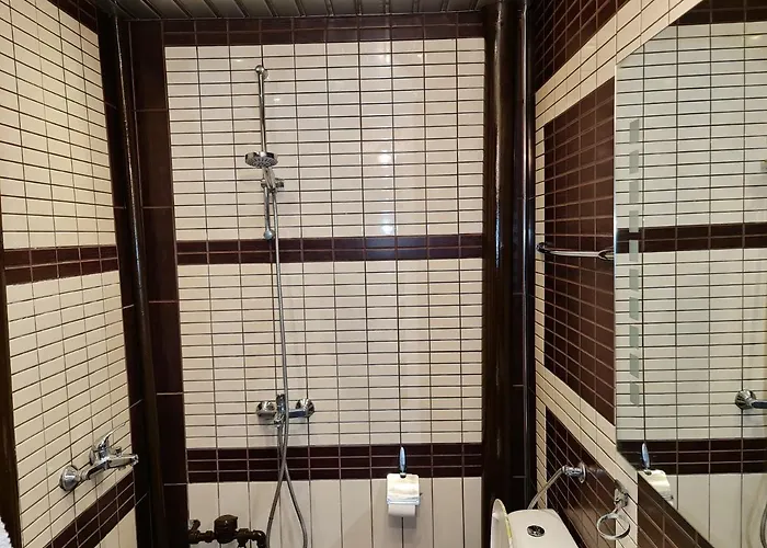 Apartament Gh Vratza *